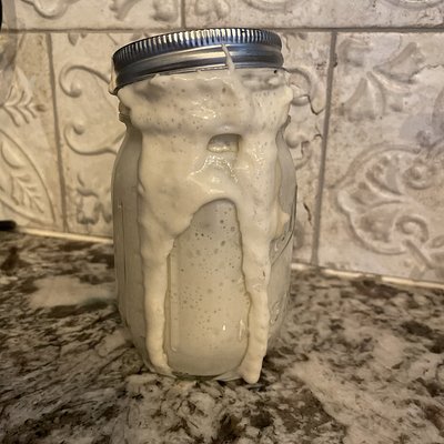 Active Sourdough Starter
