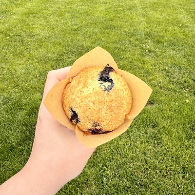 Blueberry Lemon Sourdough Muffins - 6 Pack
