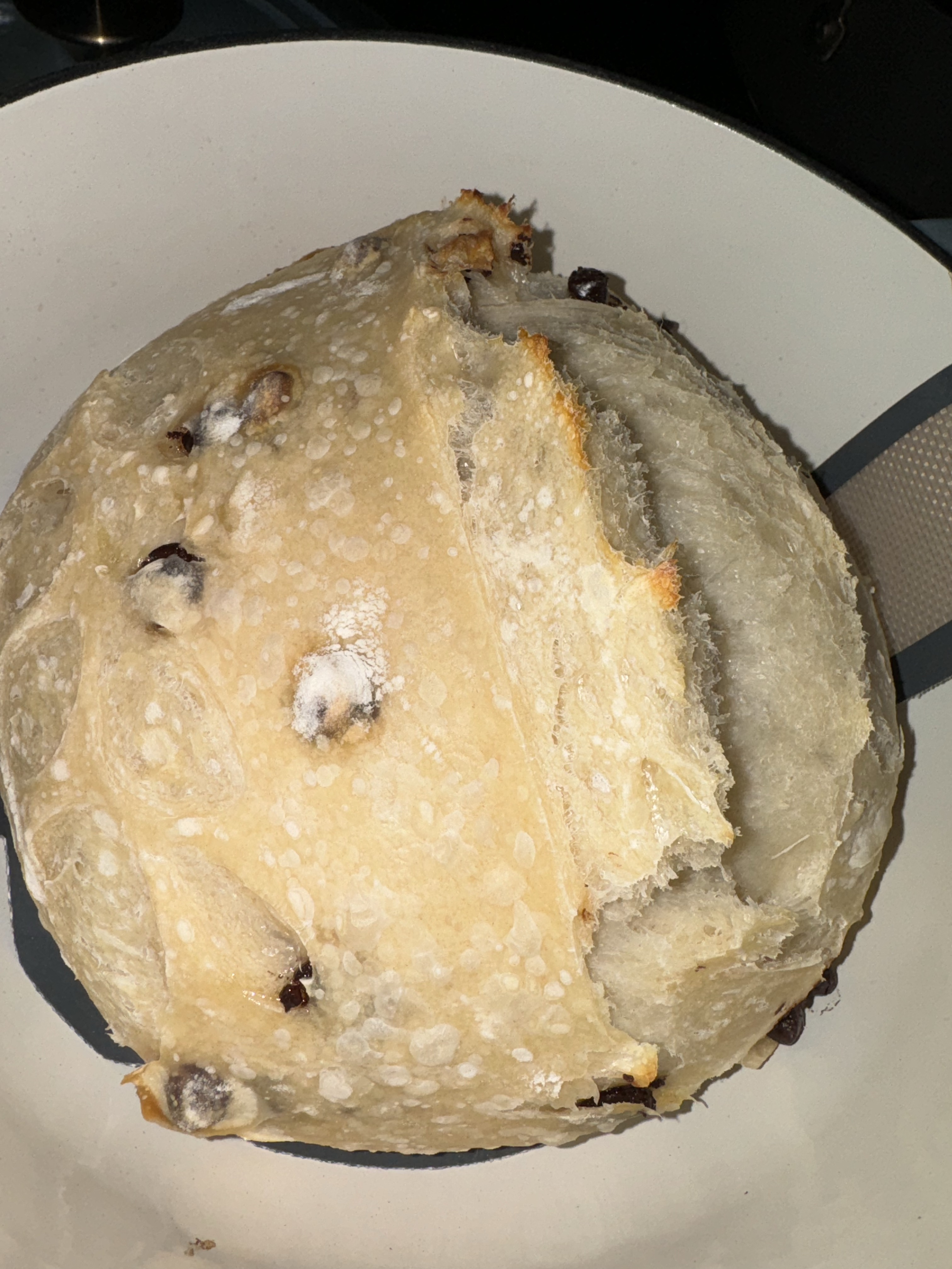 Chocolate Chip Sourdough 