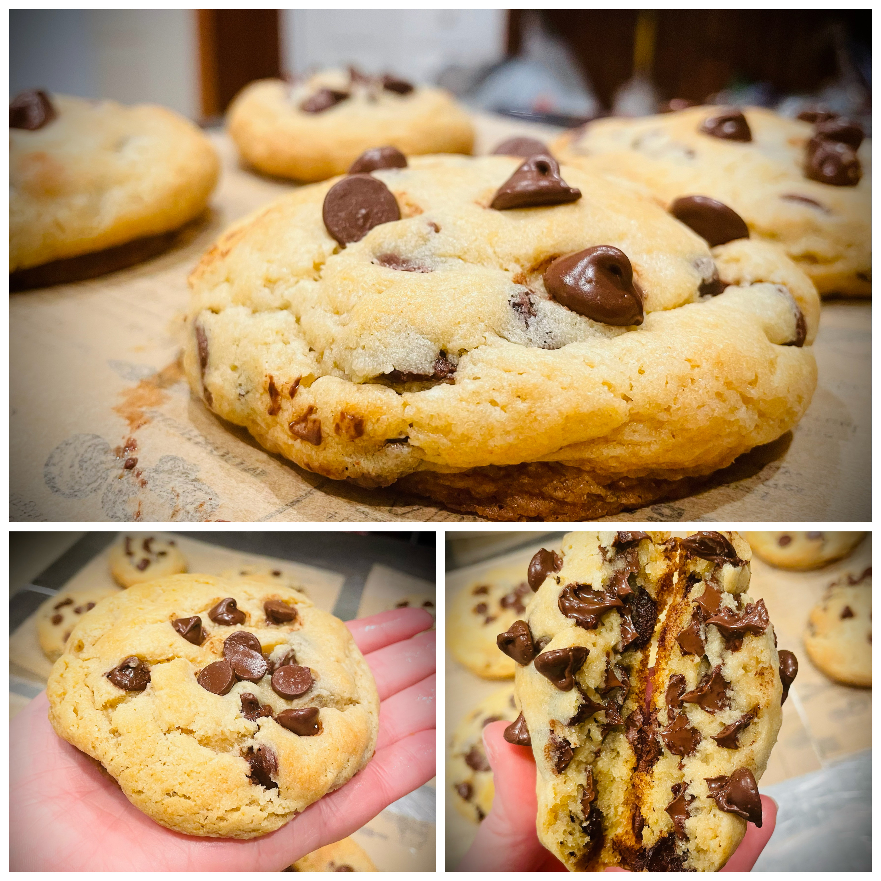 6pk Chocolate Chip Cookies 