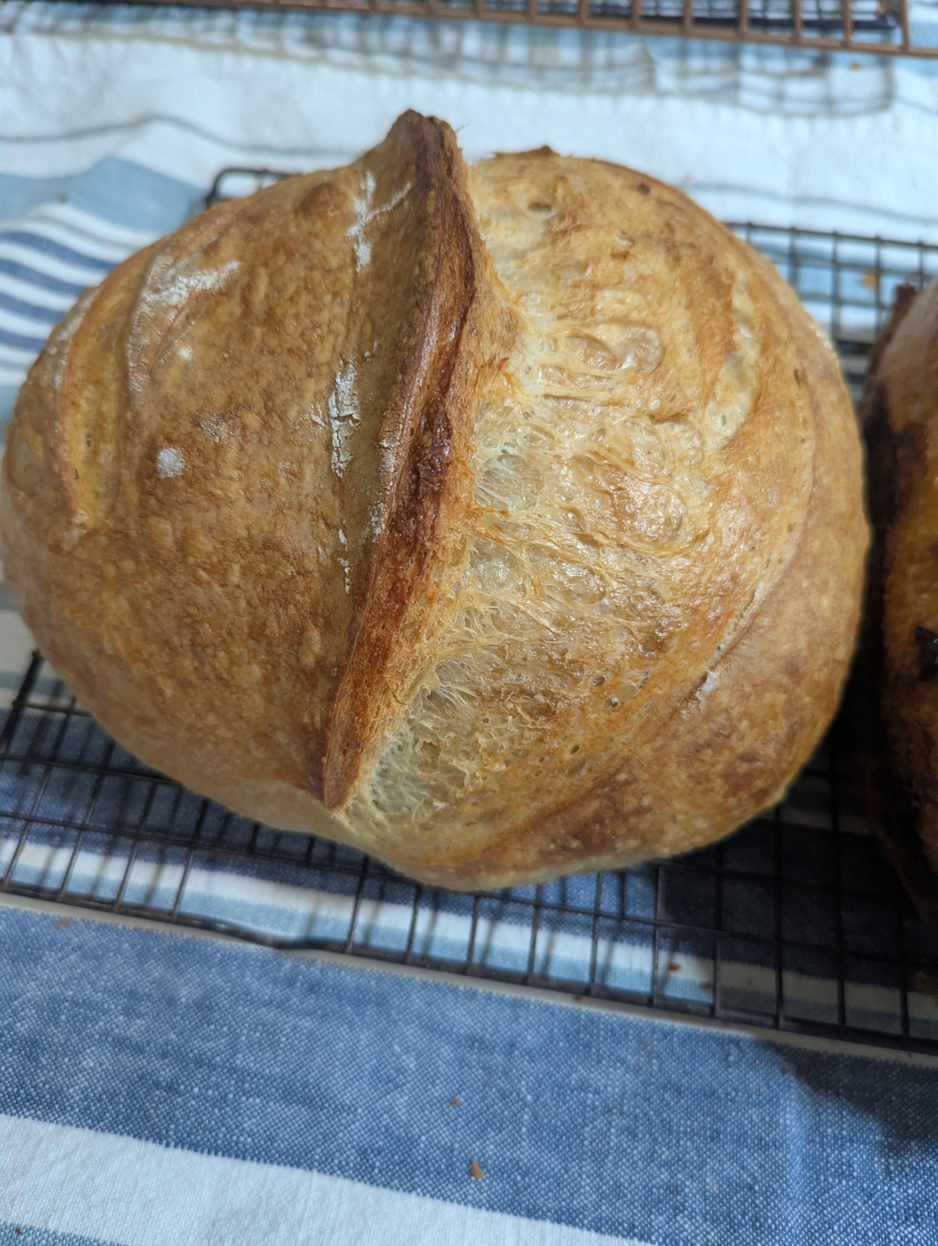 Classic Sourdough 