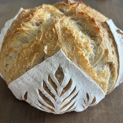 Organic Flour Sourdough