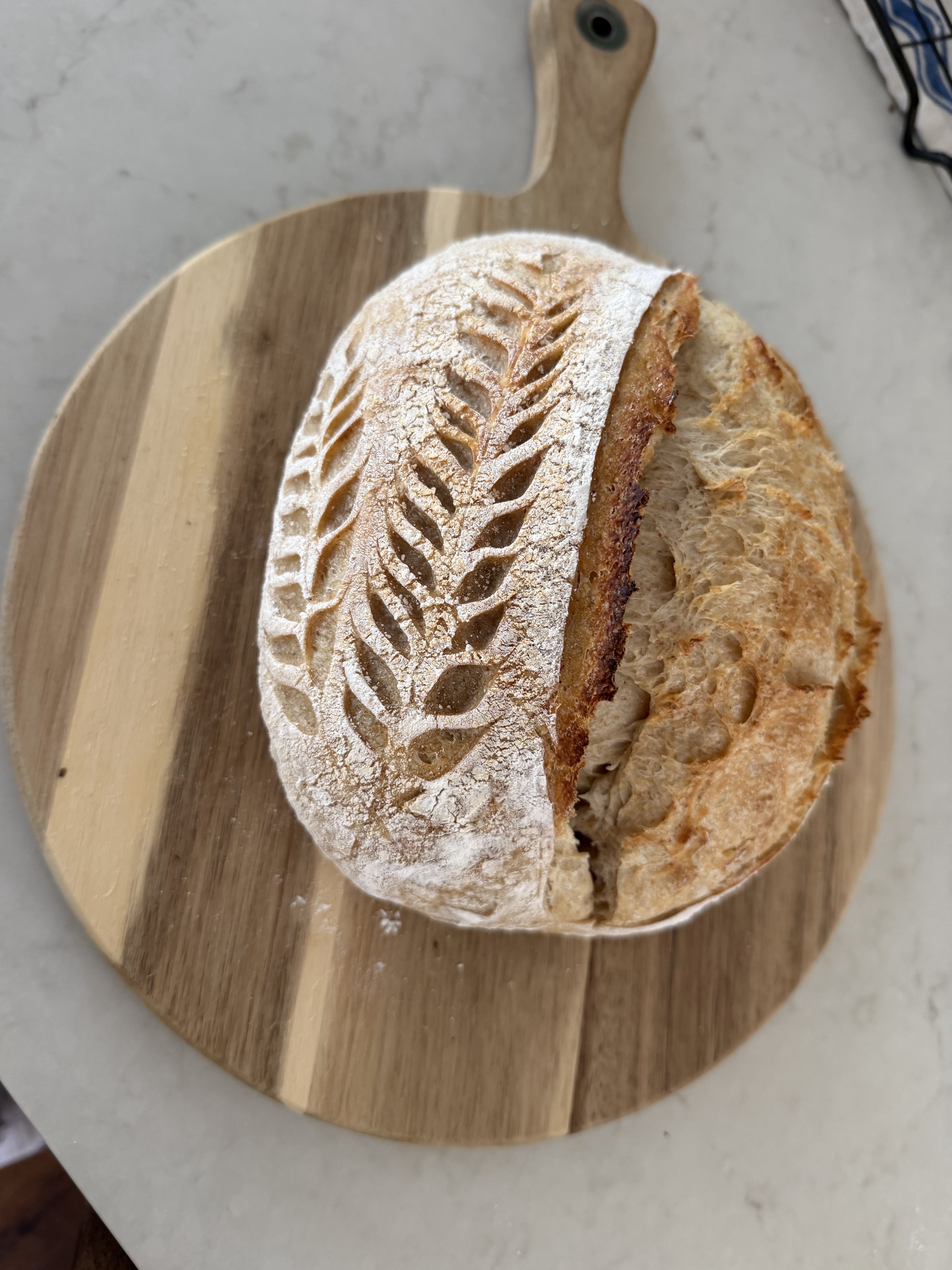 Country Sourdough Loaf (Oval Loaf)