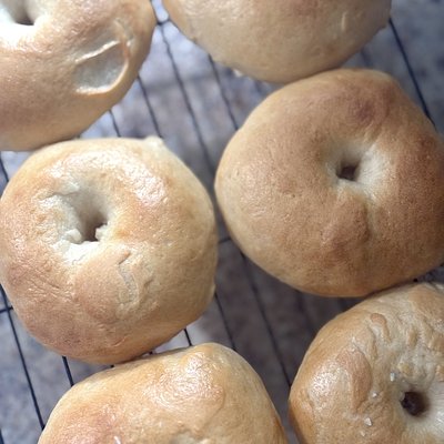 Sourdough Bagels