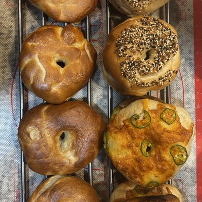 Sourdough Bagel 6 Pack