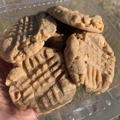 Peanut Butter Cookies- Dozen 