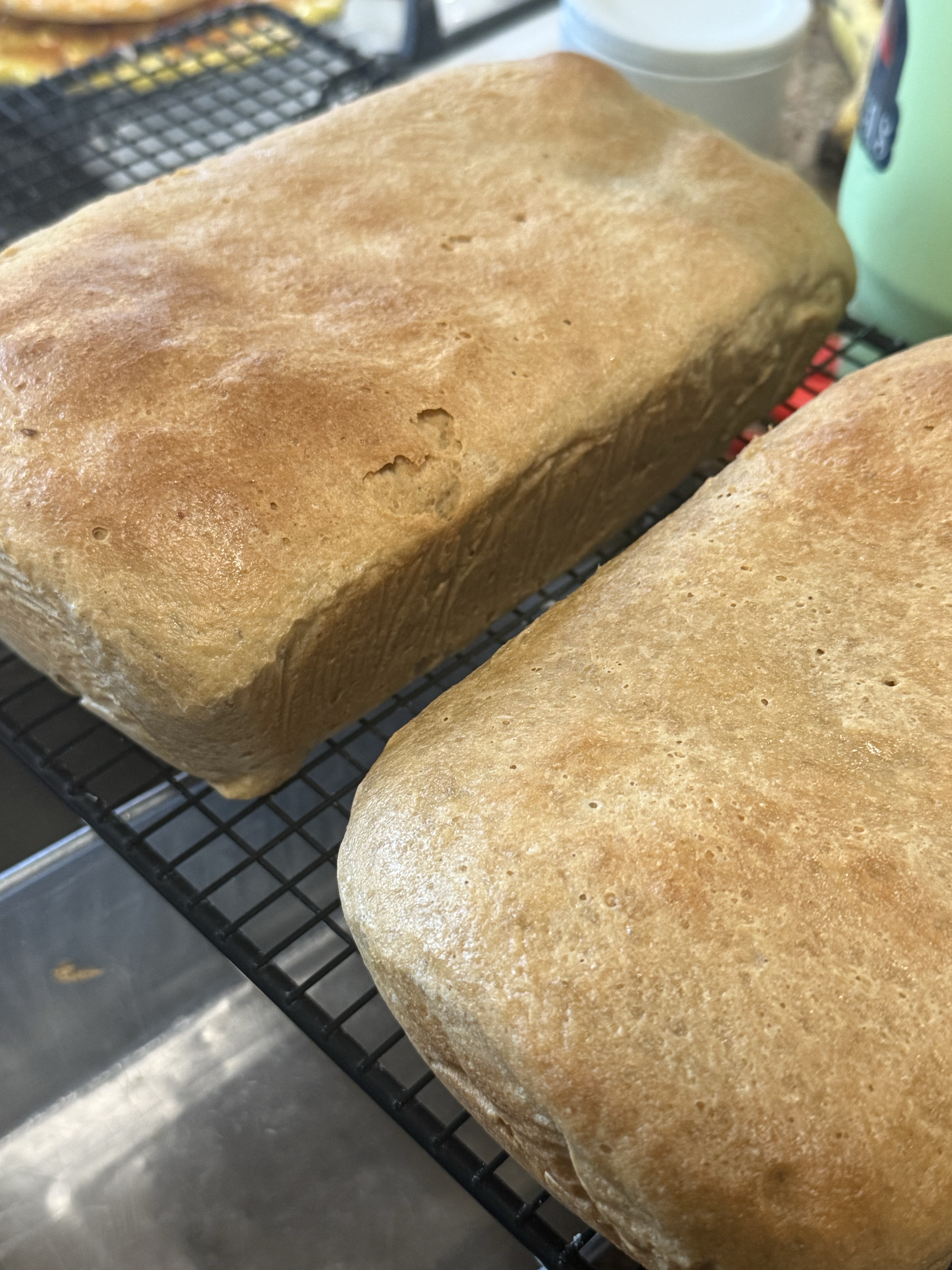 Fresh Milled Sandwich Bread 