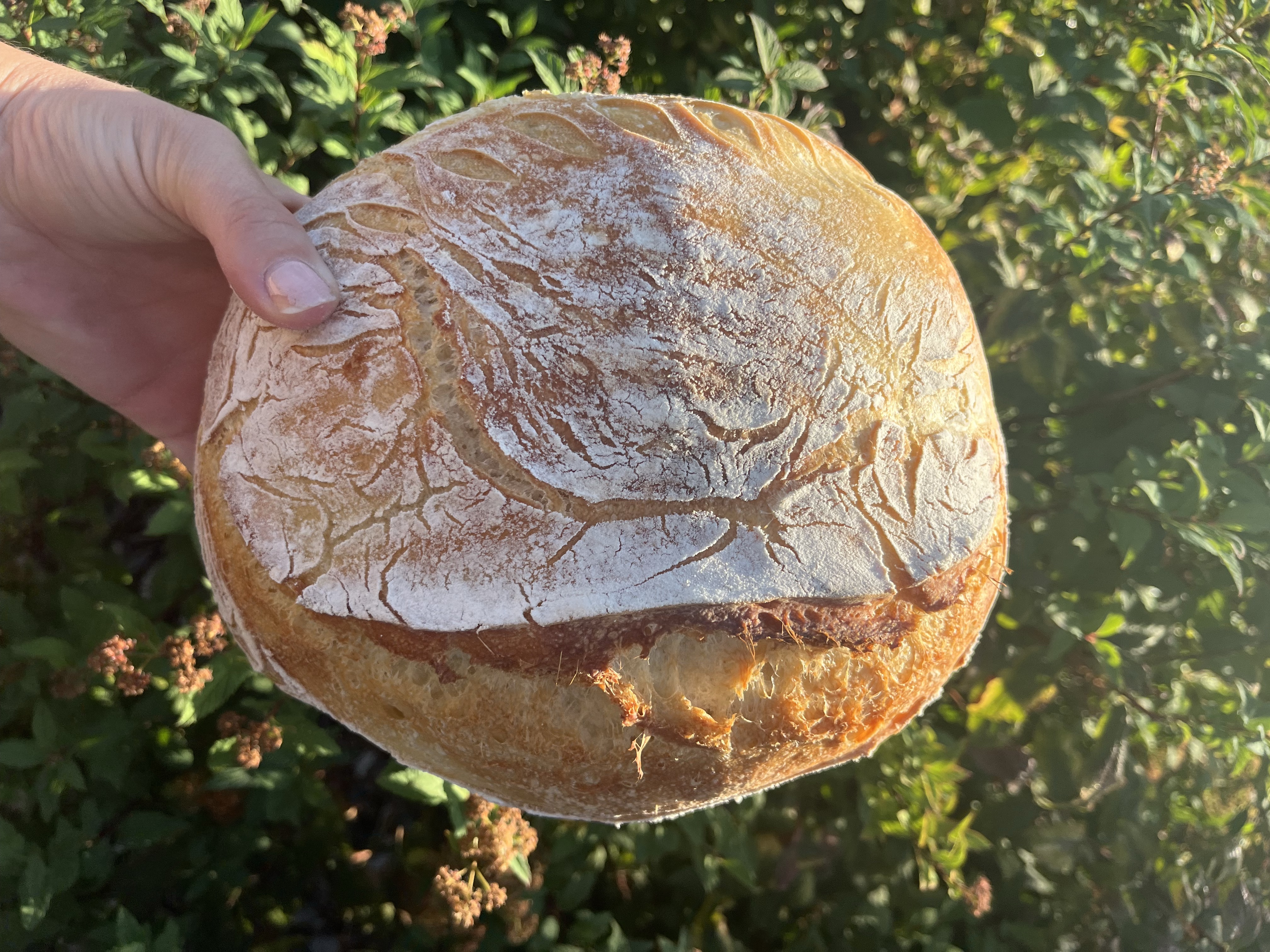 Artisan Loaf