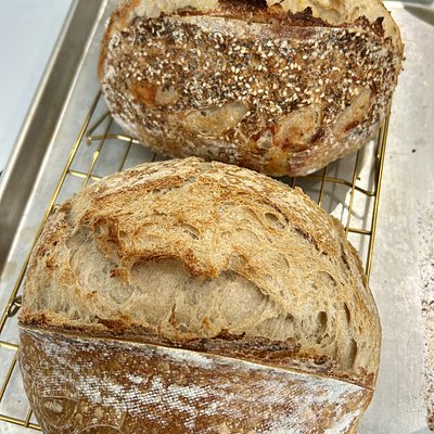 Everything bagel With Asiago Blend