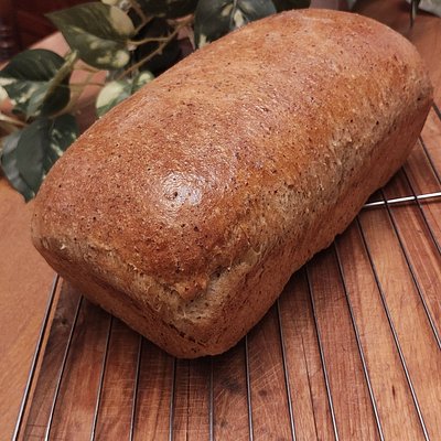 Protein Packed Sandwich Bread