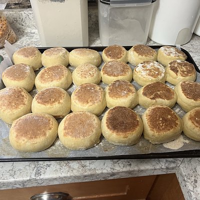 Sourdough English Muffins Plain (6)