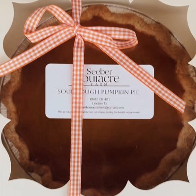 9in Sourdough Pumpkin Pie 