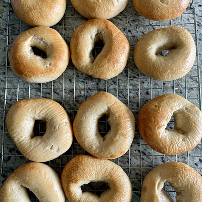 Plain Sourdough Bagels (6 Per Order)