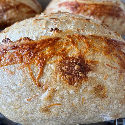 [Small] Parmesan & Roasted Garlic Sourdough