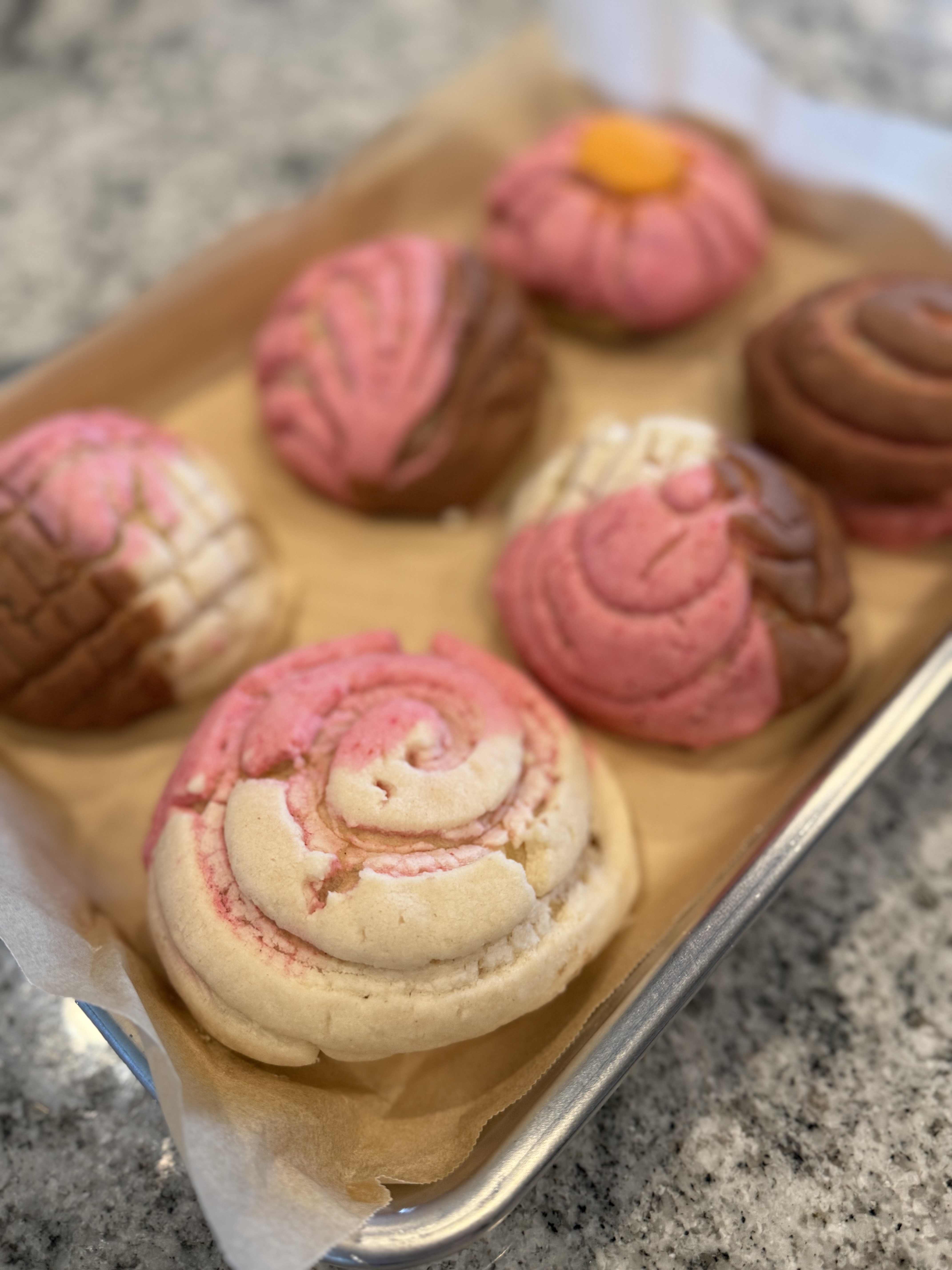 Conchas (Regular)