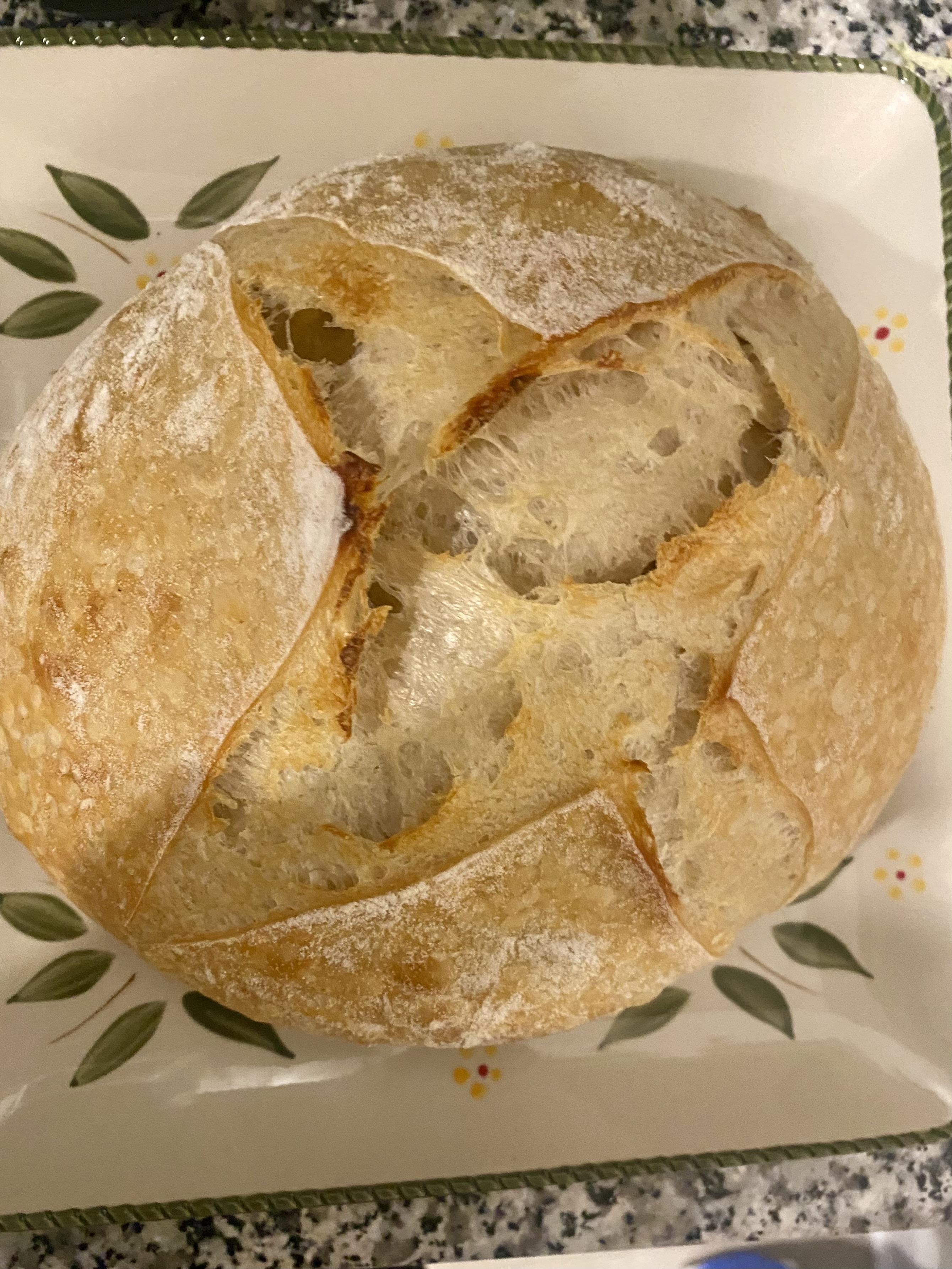 Sourdough Loaves 