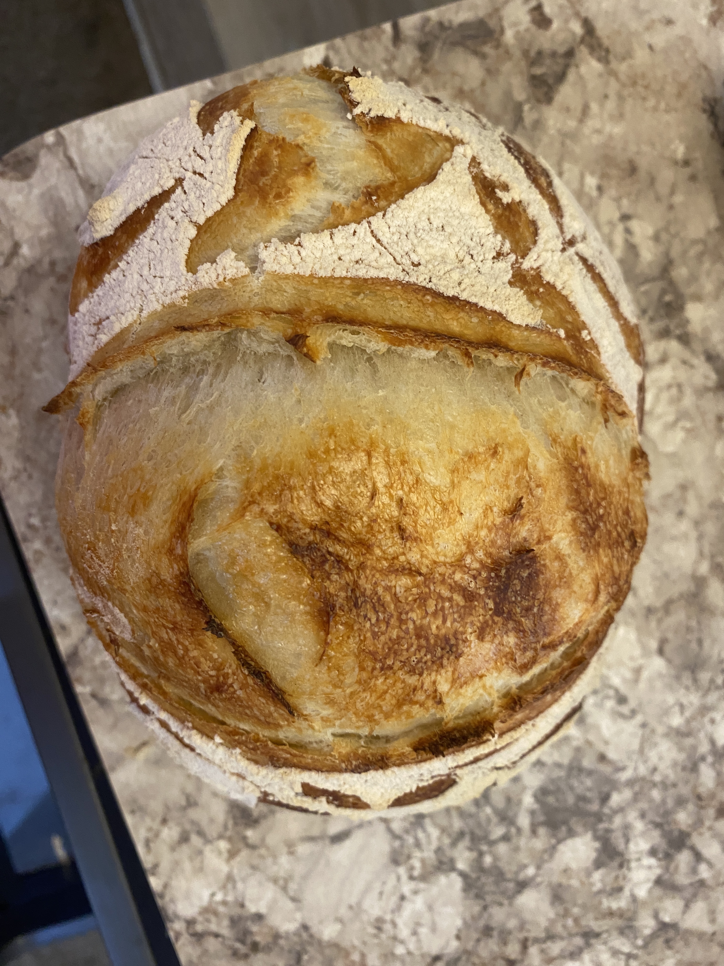 Sourdough  Boule 