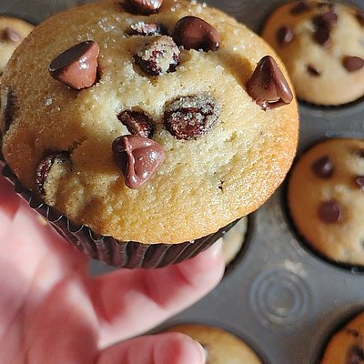 Chocolate Chip Muffins 