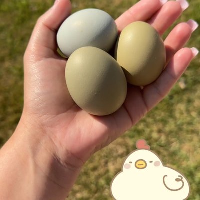 Eggs