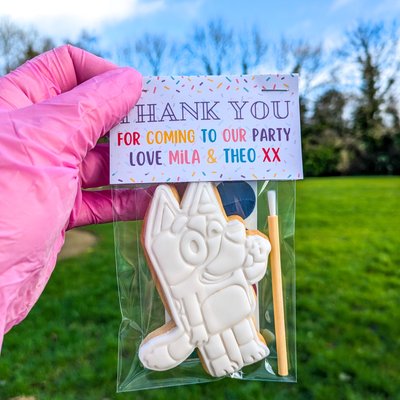 Party Bags / Small PYO Cookies