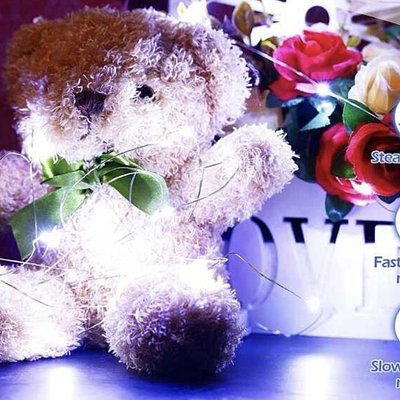 🧚‍♀️ Fairy lights