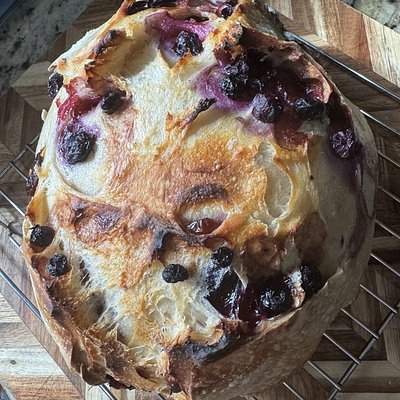 Blueberry Lemon Bule 