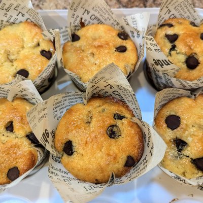 Chocolate Chip Muffins 
