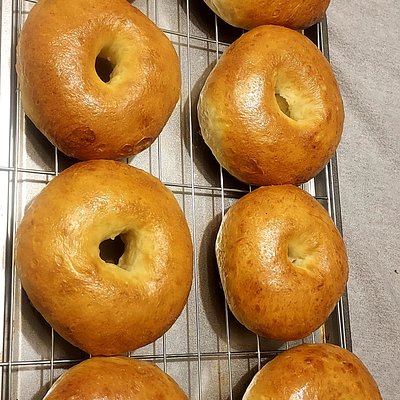 Plain Bagels