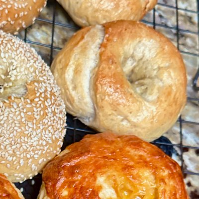 Sourdough Plain Bagels 