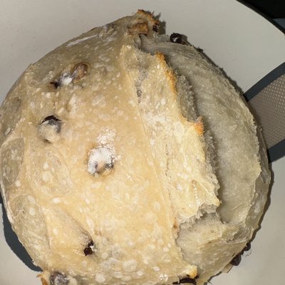 Chocolate Chip Sourdough 