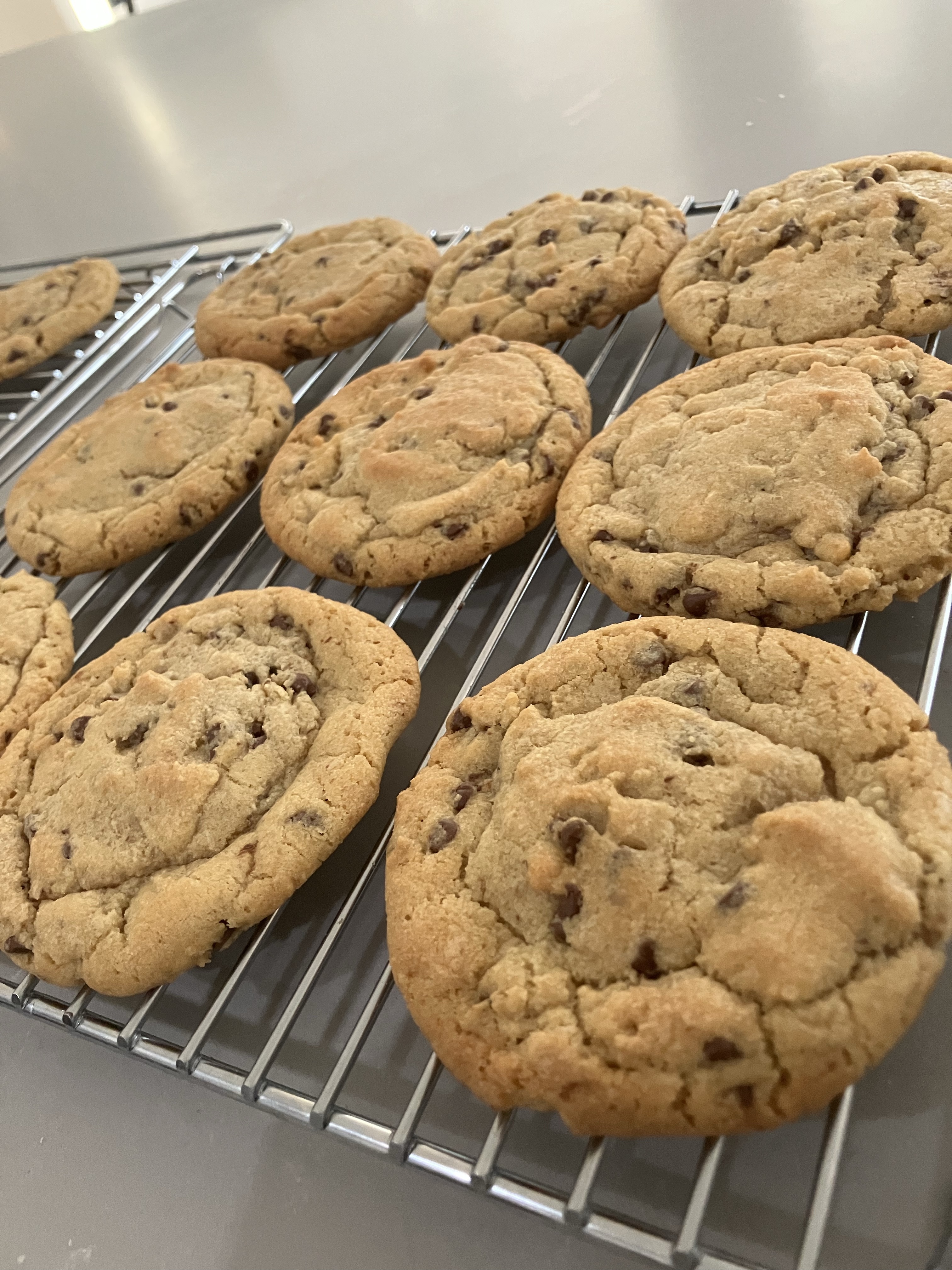 1 Dozen Chocolate Chip Cookies 