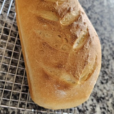 Sourdough Bread 