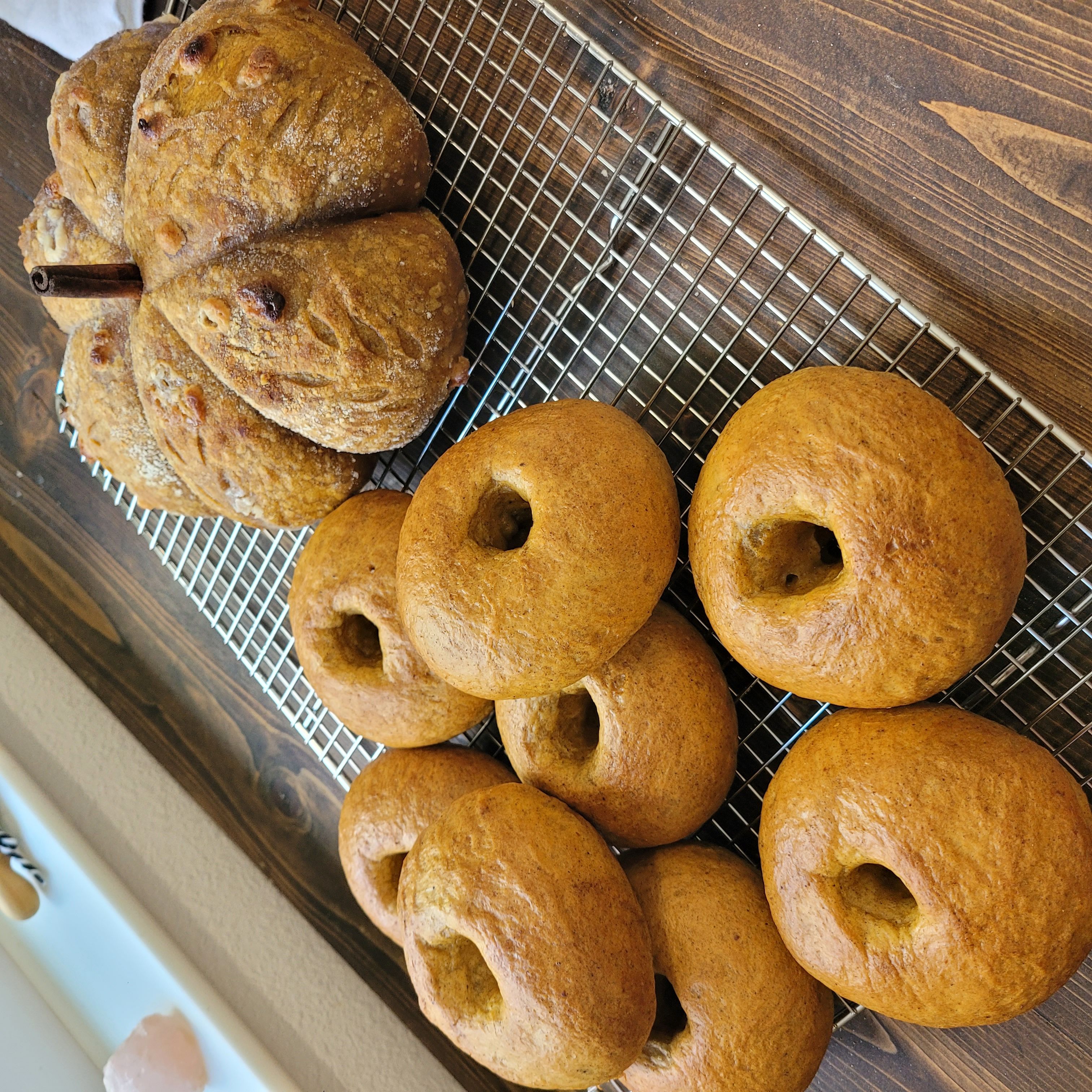 Sourdough Pumkin Bagels (Seasonal Special)