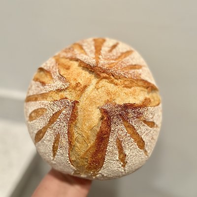 Italian Loaf 