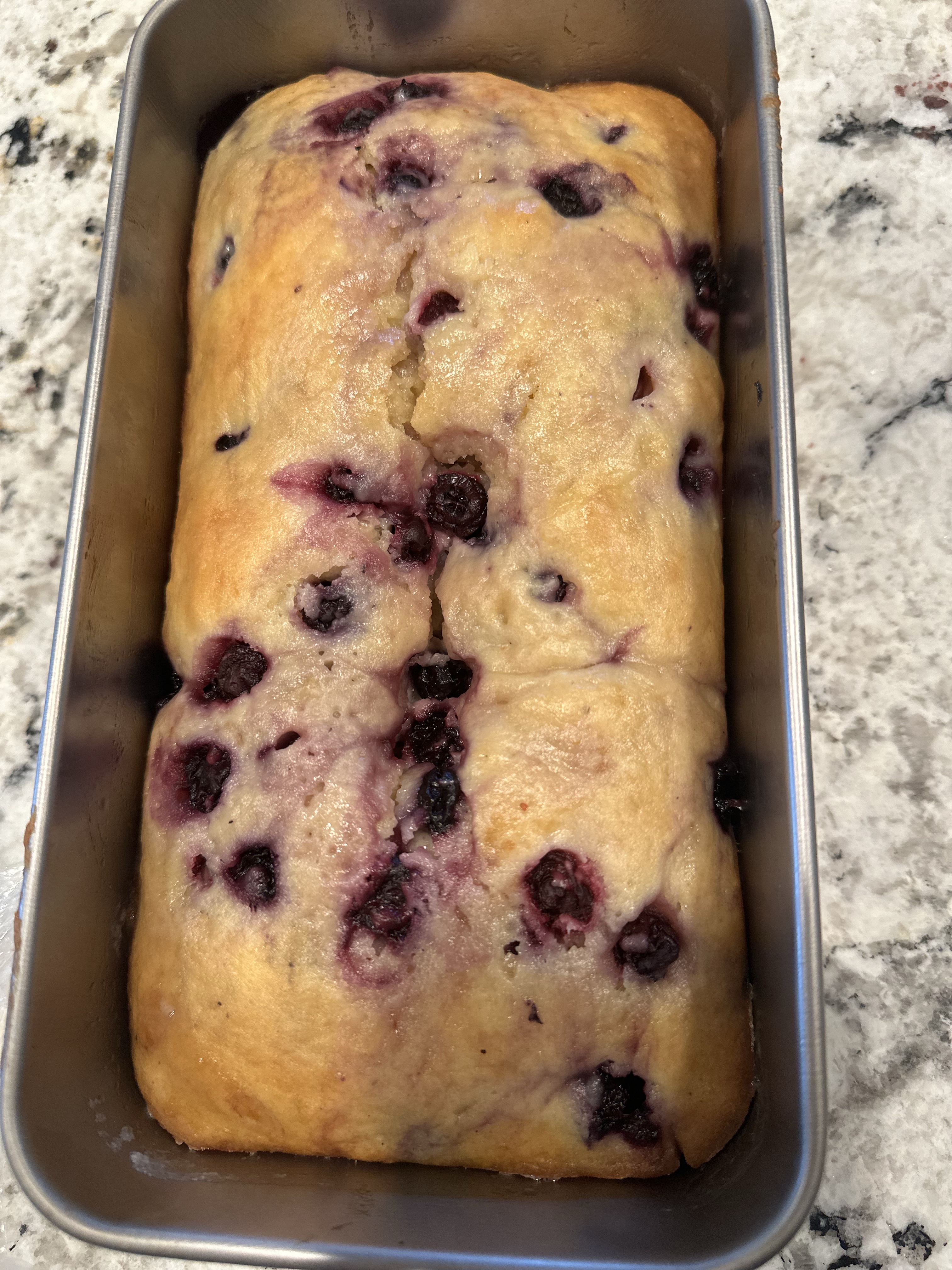 Blueberry Lemon Loaf (1)
