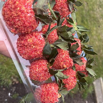 1 Dozen strawberry Crunch Strawberries 
