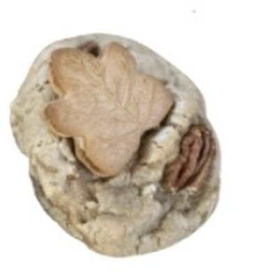 Maple Pecan 