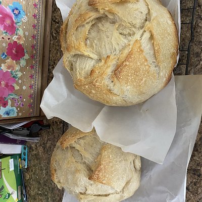 Herb - Sourdough 