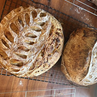 Garlic Confit, Onion, and Rosemary Sourdough 