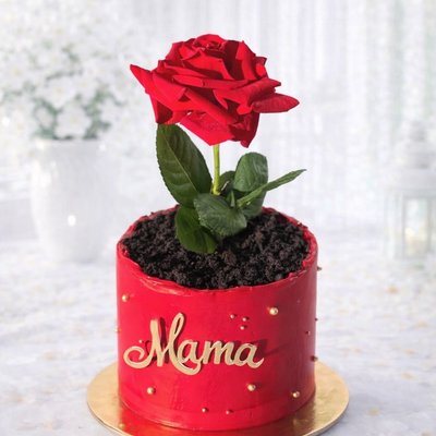 Mother’s Day Mini Cake W/out Image 