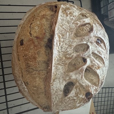 Cranberry Walnut Sourdough 