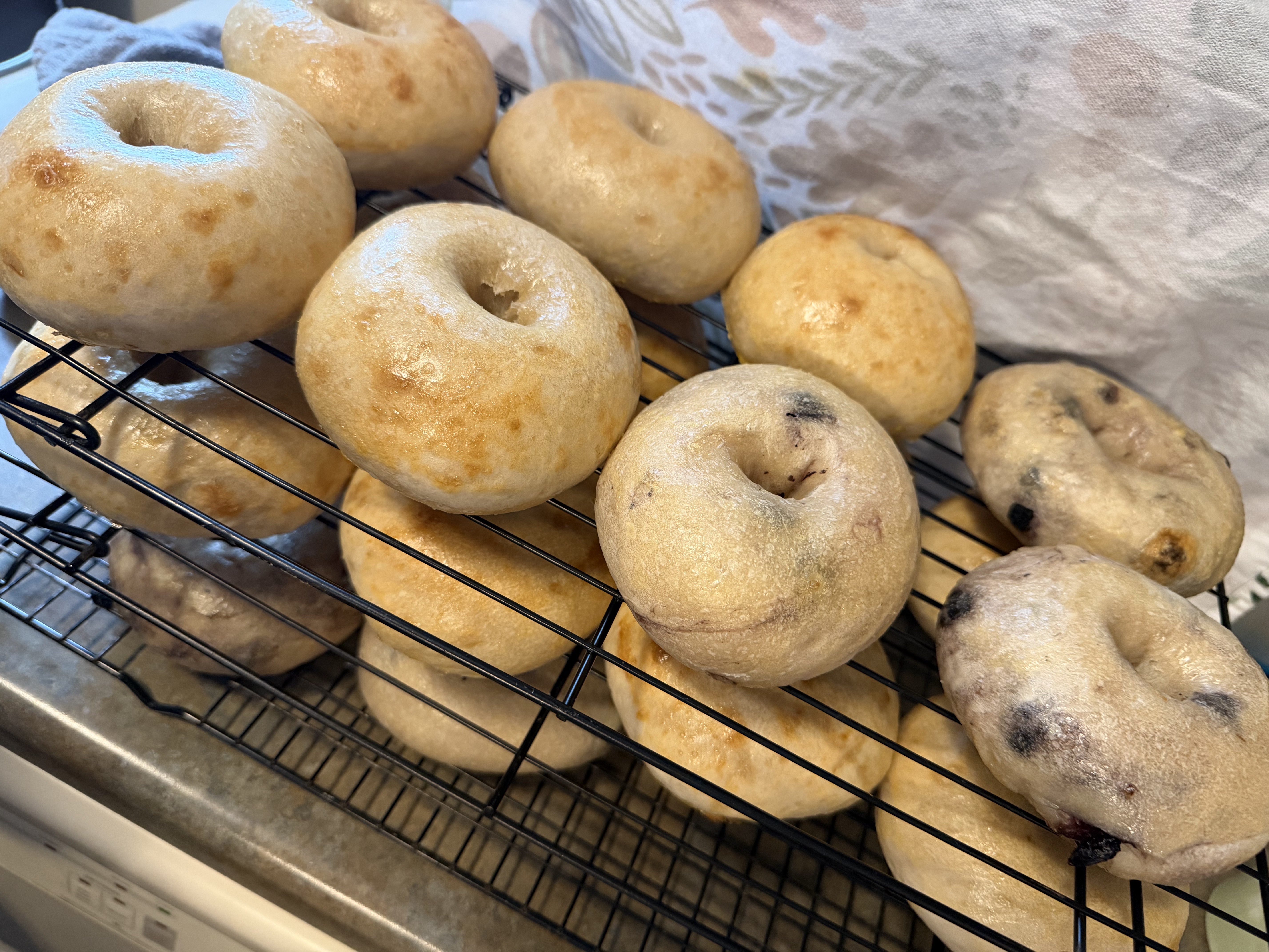 Plain Sourdough Bagels- 4pk