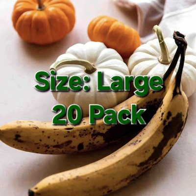 (Large 20pk) aPEELing Pumpkin 🎃🍌