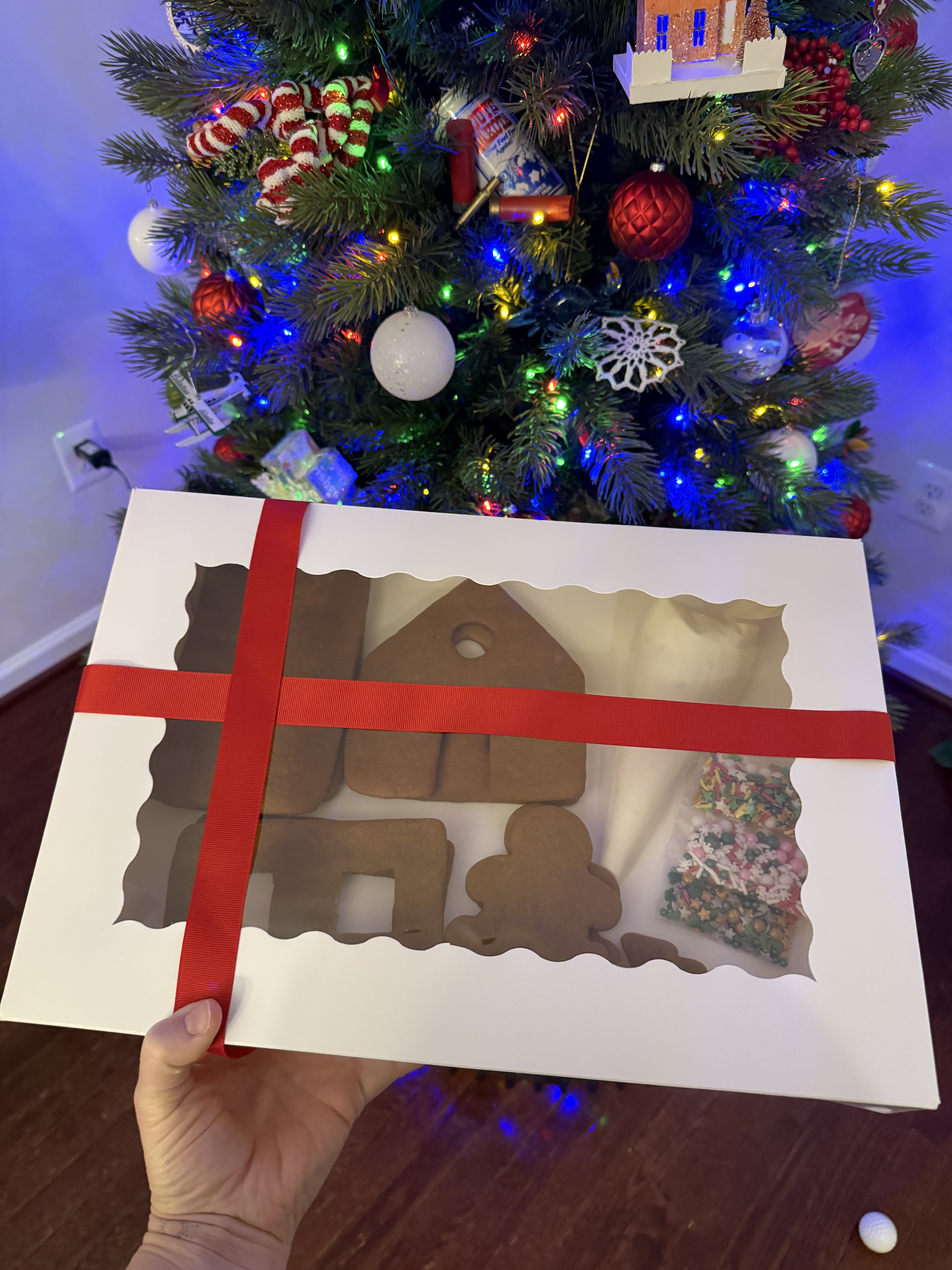 Gingerbread House Kit
