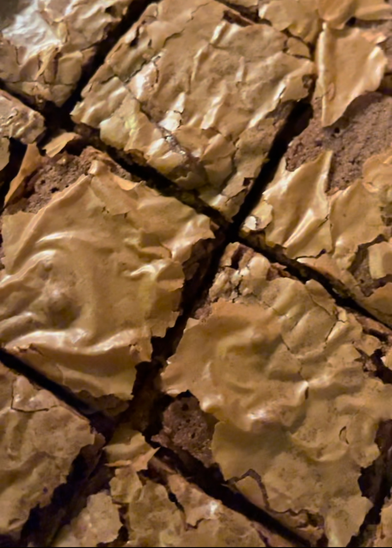 Fudge Brownies