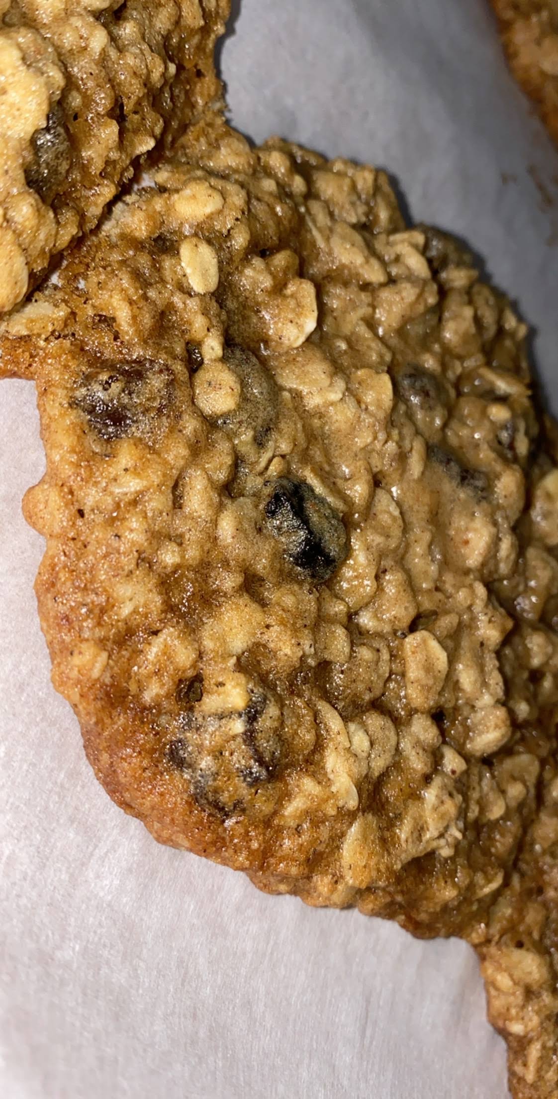 Oatmeal Raisin
