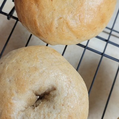 Plain Sourdough Bagels - Quantity 8