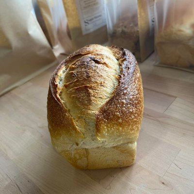 Whole Wheat Sandwich Bread 