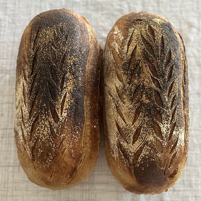 Everyday Sourdough Bread - Family Size 2lb- Organic - Flour, Water, Salt