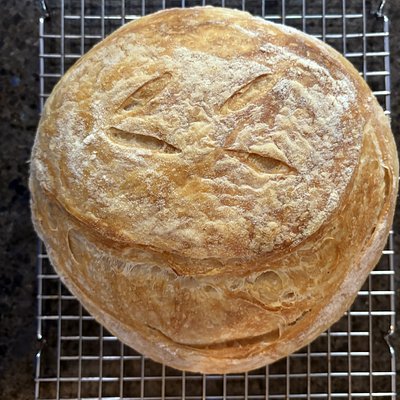 Butter Croissant Style *Mini*